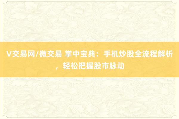 V交易网/微交易 掌中宝典：手机炒股全流程解析，轻松把握股市脉动