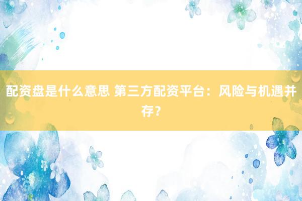 配资盘是什么意思 第三方配资平台：风险与机遇并存？