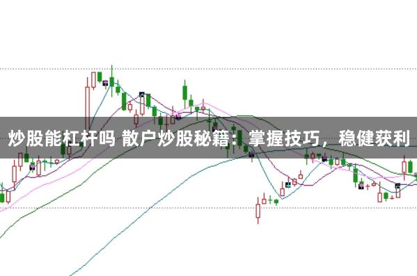 炒股能杠杆吗 散户炒股秘籍：掌握技巧，稳健获利