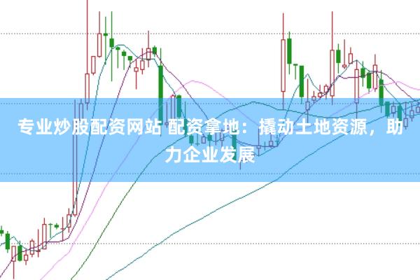 专业炒股配资网站 配资拿地：撬动土地资源，助力企业发展