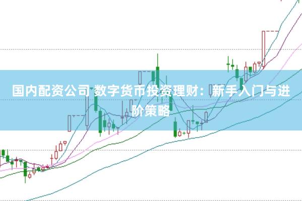 国内配资公司 数字货币投资理财：新手入门与进阶策略