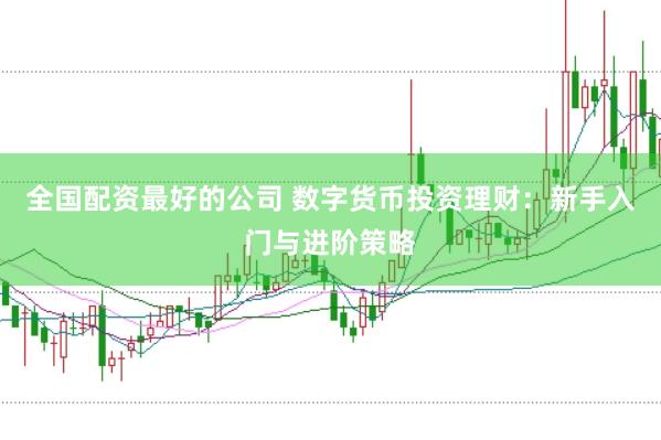 全国配资最好的公司 数字货币投资理财：新手入门与进阶策略