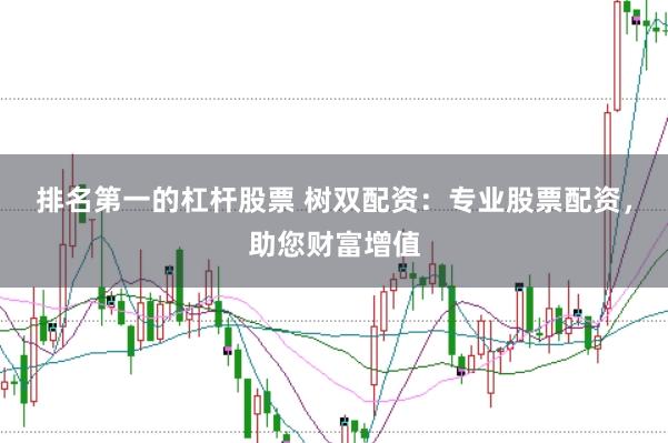 排名第一的杠杆股票 树双配资：专业股票配资，助您财富增值