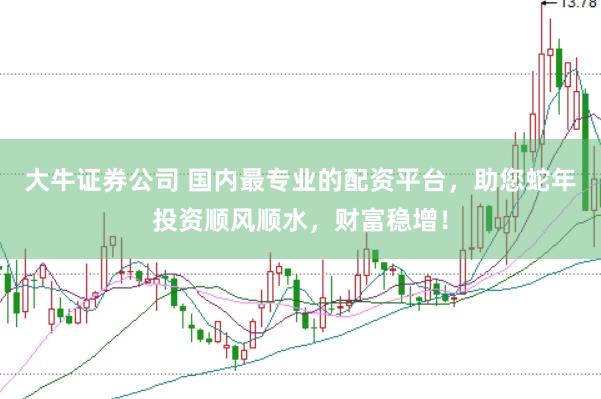 大牛证券公司 国内最专业的配资平台，助您蛇年投资顺风顺水，财富稳增！