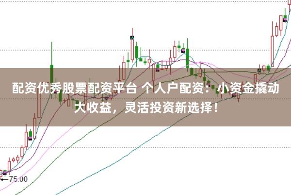 配资优秀股票配资平台 个人户配资：小资金撬动大收益，灵活投资新选择！