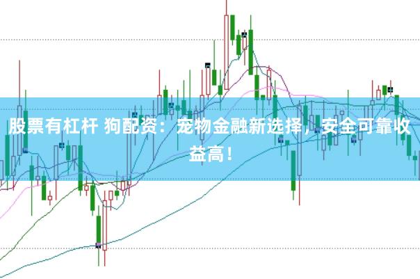 股票有杠杆 狗配资：宠物金融新选择，安全可靠收益高！