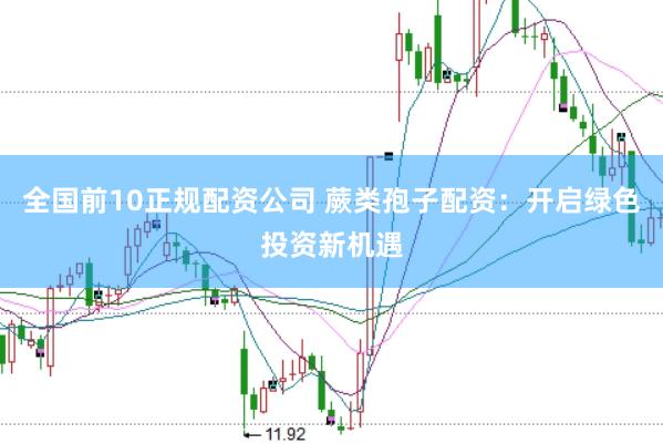 全国前10正规配资公司 蕨类孢子配资：开启绿色投资新机遇
