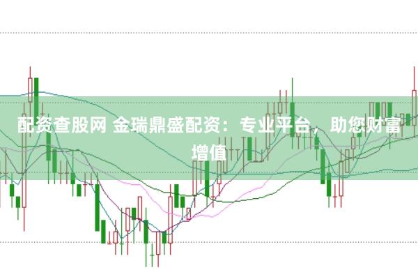 配资查股网 金瑞鼎盛配资：专业平台，助您财富增值