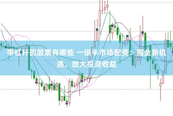 带杠杆的股票有哪些 一级半市场配资：掘金新机遇，放大投资收益