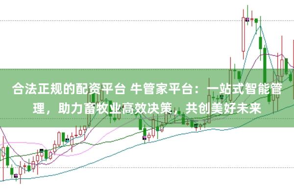 合法正规的配资平台 牛管家平台：一站式智能管理，助力畜牧业高效决策，共创美好未来