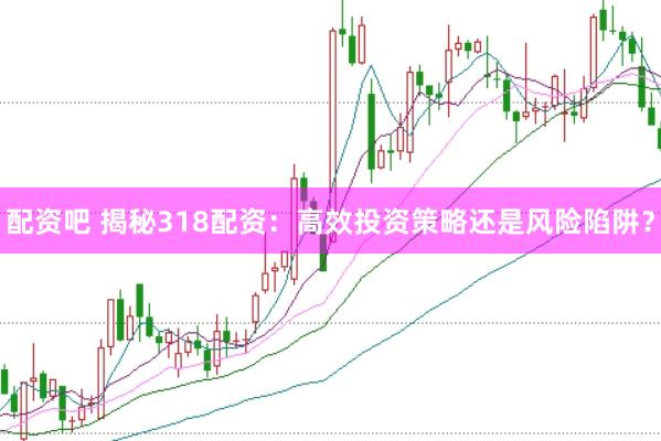 配资吧 揭秘318配资：高效投资策略还是风险陷阱？