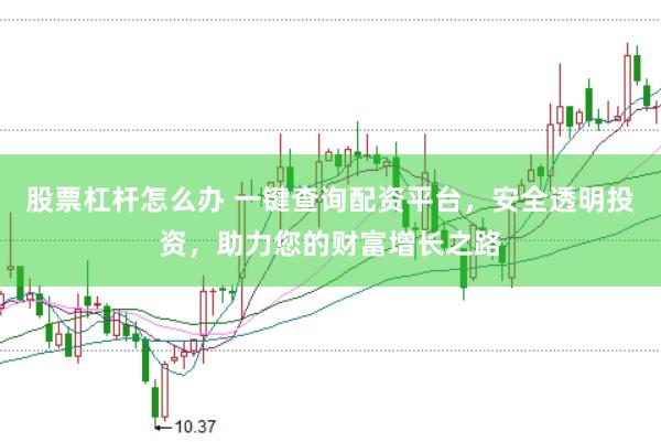 股票杠杆怎么办 一键查询配资平台，安全透明投资，助力您的财富增长之路