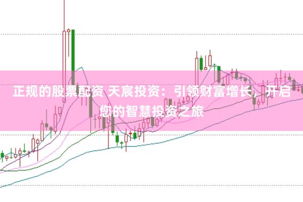 正规的股票配资 天宸投资：引领财富增长，开启您的智慧投资之旅
