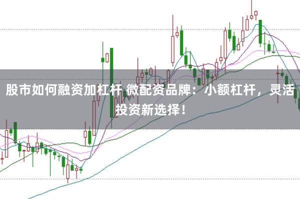 股市如何融资加杠杆 微配资品牌：小额杠杆，灵活投资新选择！
