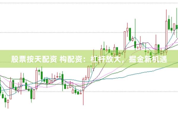 股票按天配资 构配资:杠杆放大,掘金新机遇