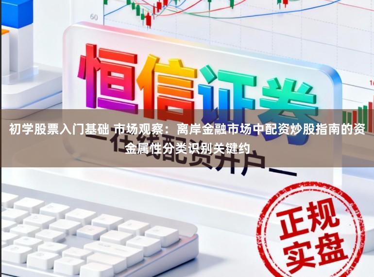 初学股票入门基础 市场观察：离岸金融市场中配资炒股指南的资金属性分类识别关键约