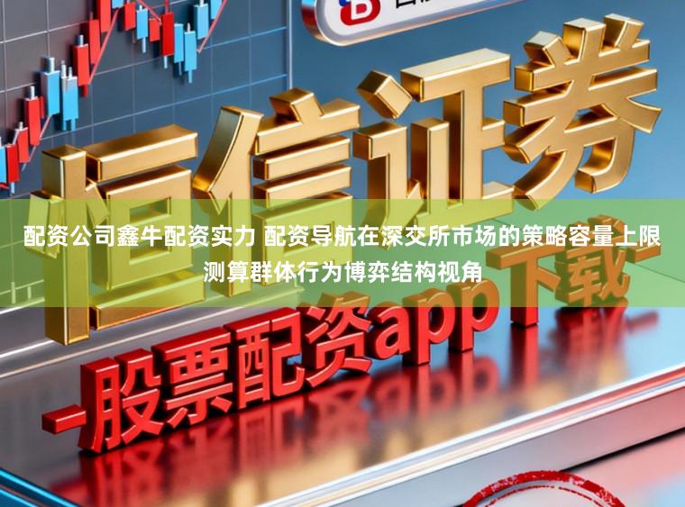 配资公司鑫牛配资实力 配资导航在深交所市场的策略容量上限测算群体行为博弈结构视角