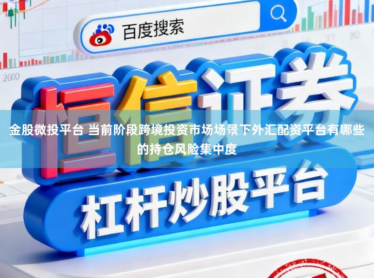 金股微投平台 当前阶段跨境投资市场场景下外汇配资平台有哪些的持仓风险集中度