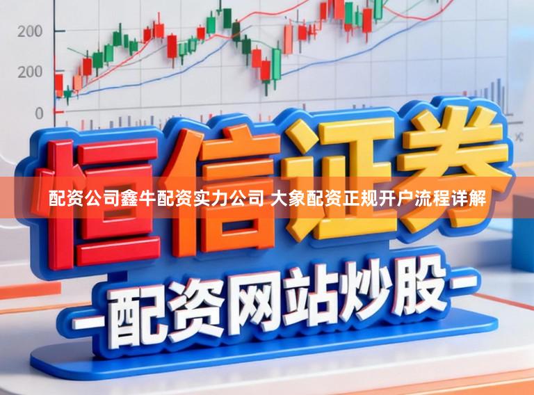 配资公司鑫牛配资实力公司 大象配资正规开户流程详解