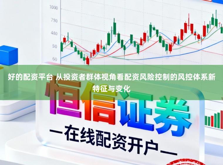 好的配资平台 从投资者群体视角看配资风险控制的风控体系新特征与变化
